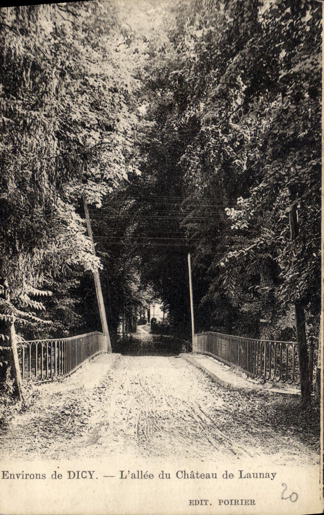 CPA Environs de Dicy L'allee du Chateau de Launay 