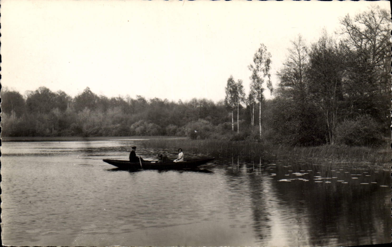 CPA Bussy en Othe Yonne Les Etangs 
