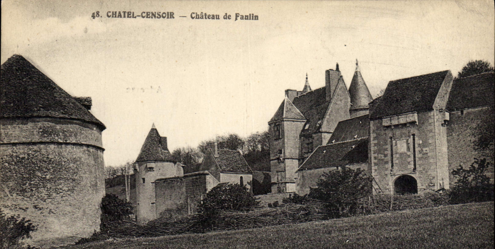 CPA Chatel Censoir Chateau de Faulin 