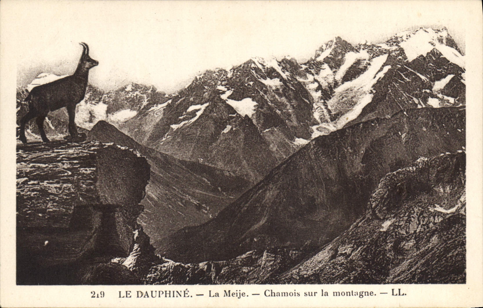 CPA Le Dauphine La Meije Chamois sur la Montagne
