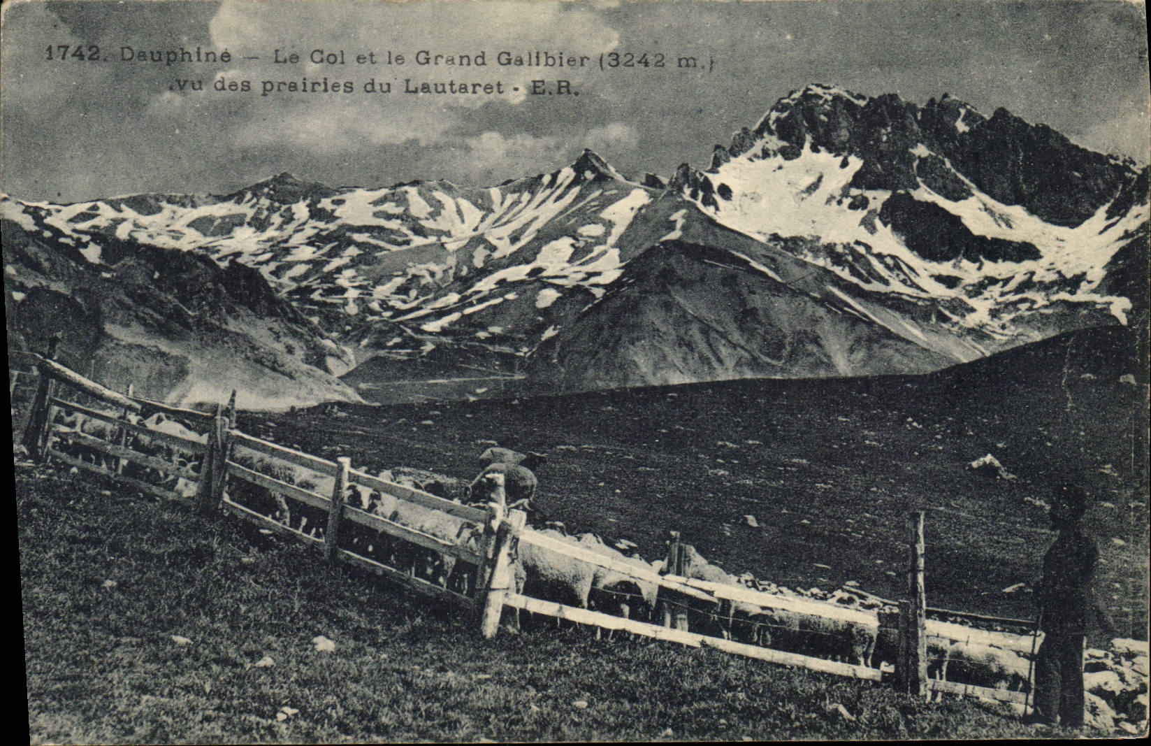 CPA Dauphine Le Col et le Grand Galibier vu des prairies du Lautaret Berger Moutons