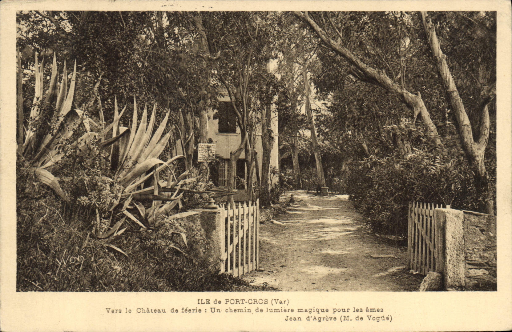 CPA Ile de Port Chos Var Vers le Chateau de feerie Un Chemin de Jumiere magique pour les Ames