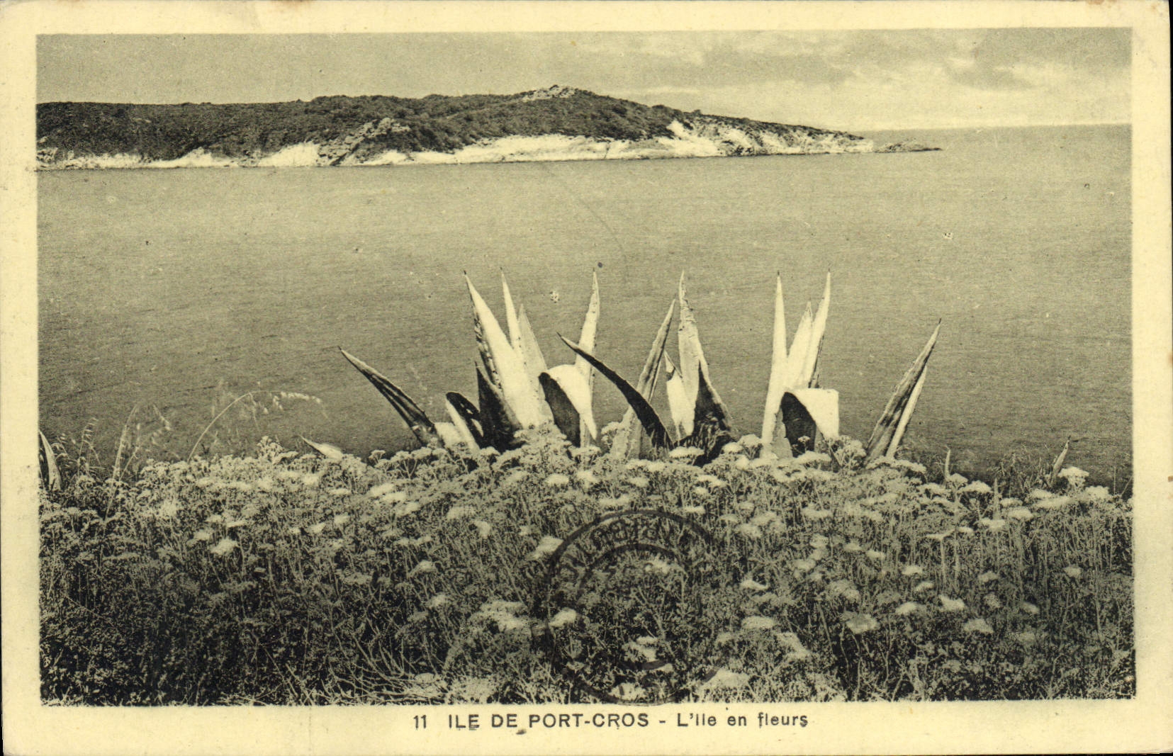 CPA Ile de Port Cros L'Ile en Fleurs
