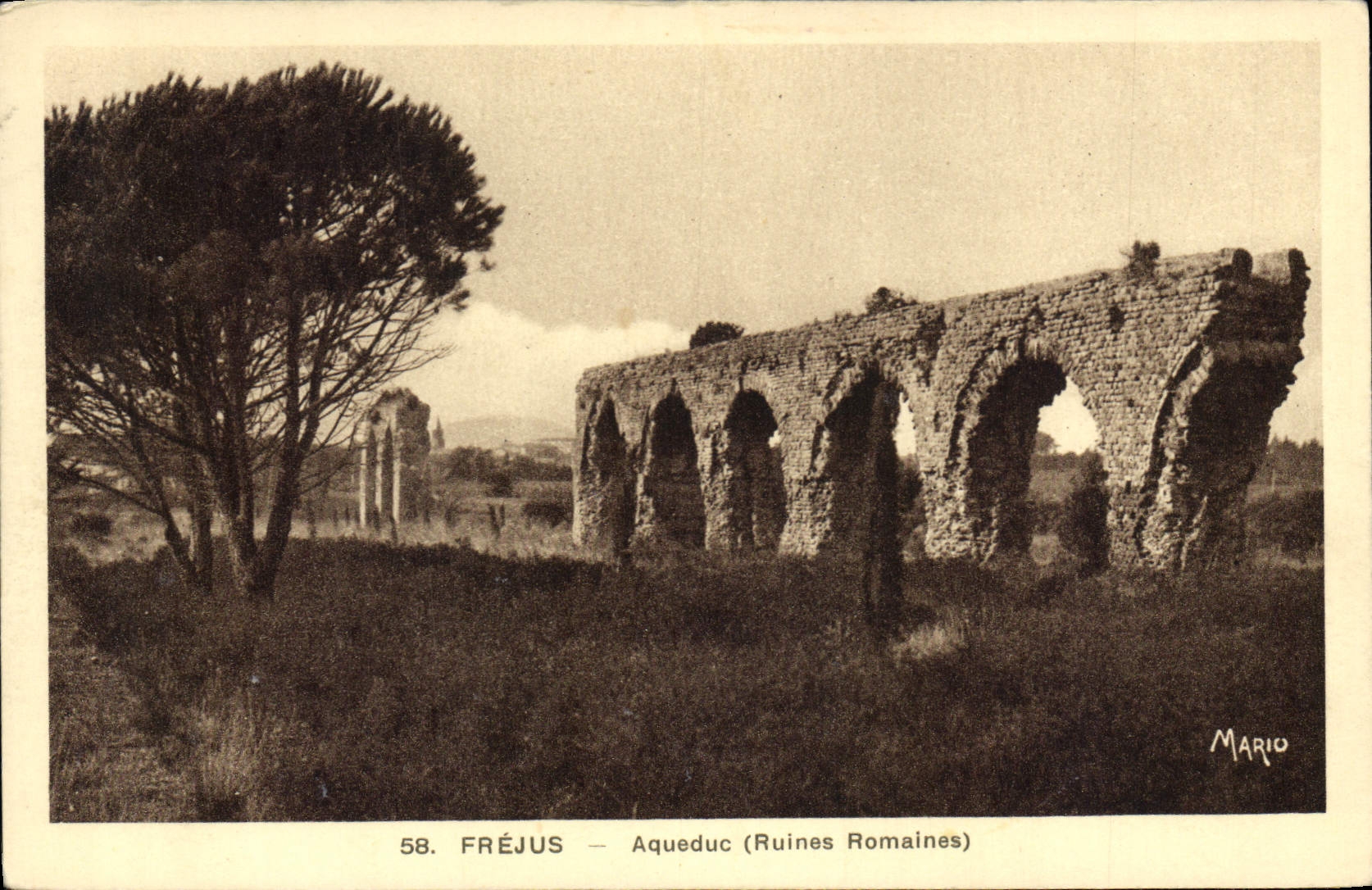 CPA Frejus Aquaduc Ruines Romaines 