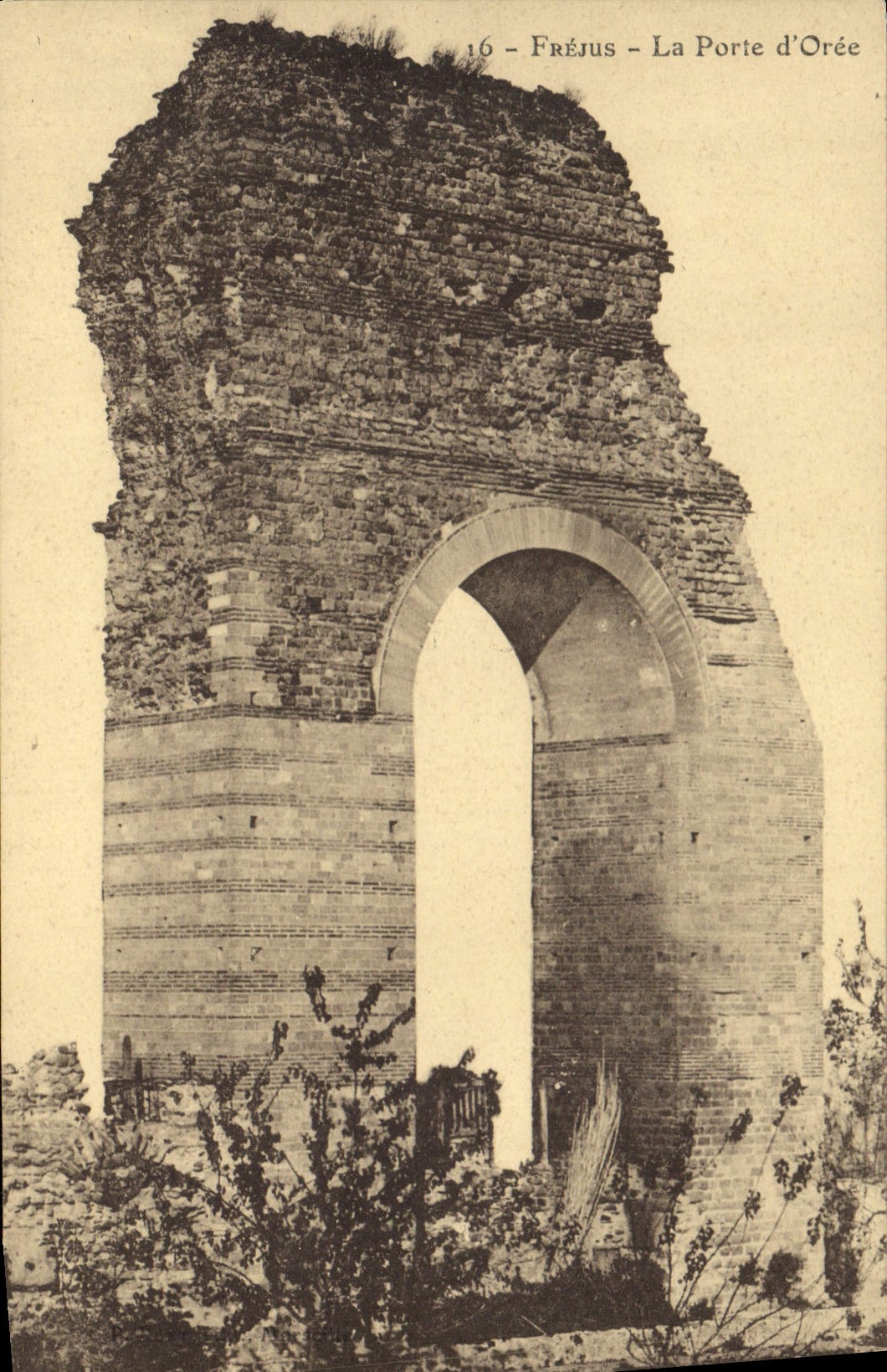 CPA Frejus La Porte d'Oree 