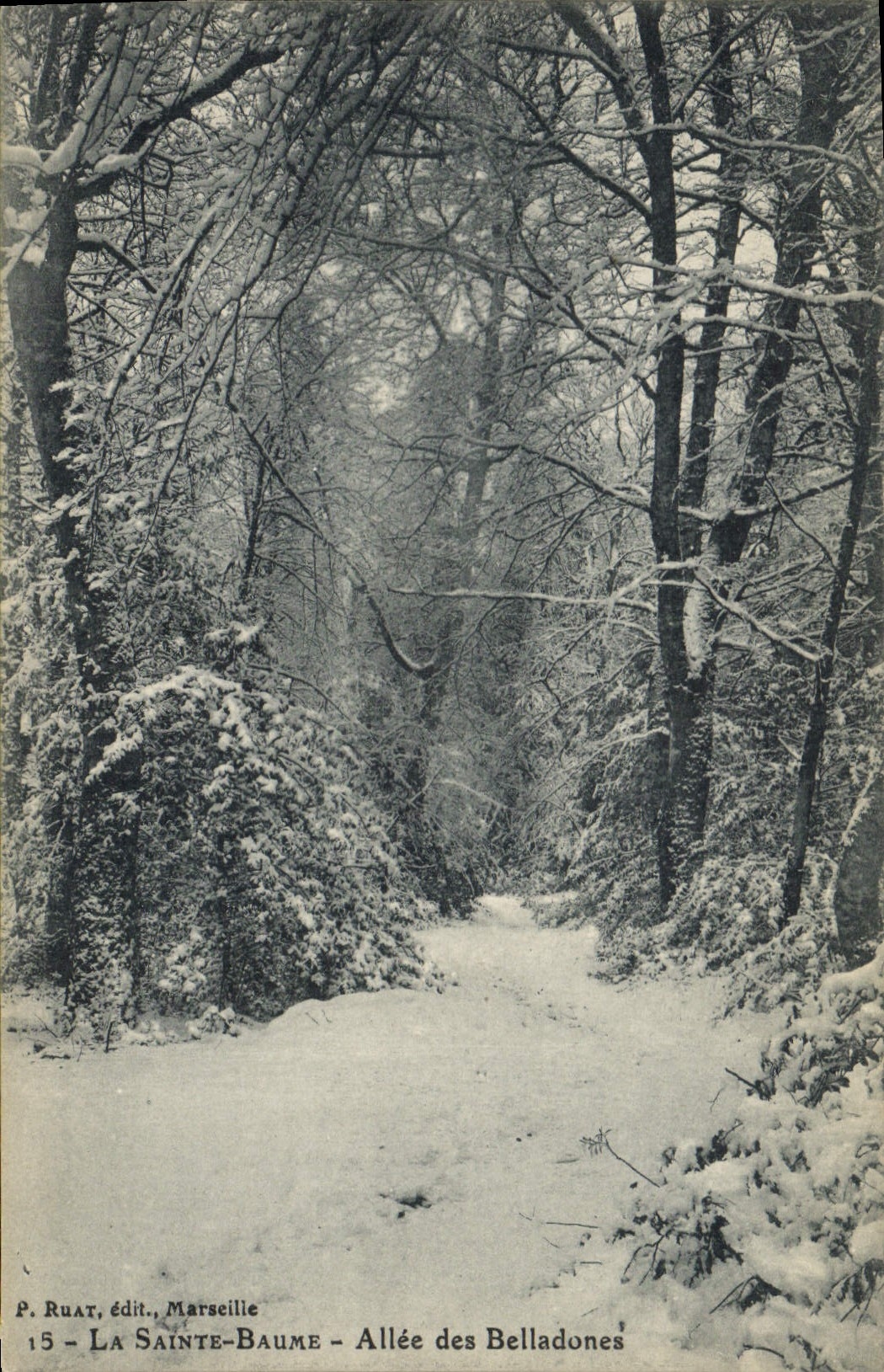 CPA La Sainte Baume Allee des Belladones 