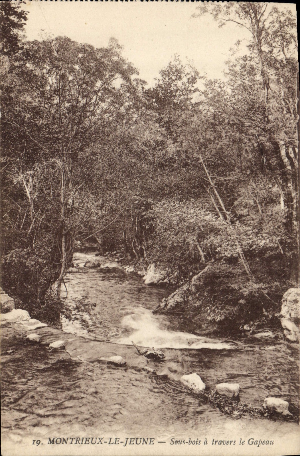 CPA Montrieux Le Jeune Sous Bois a Travers le Gapeau 