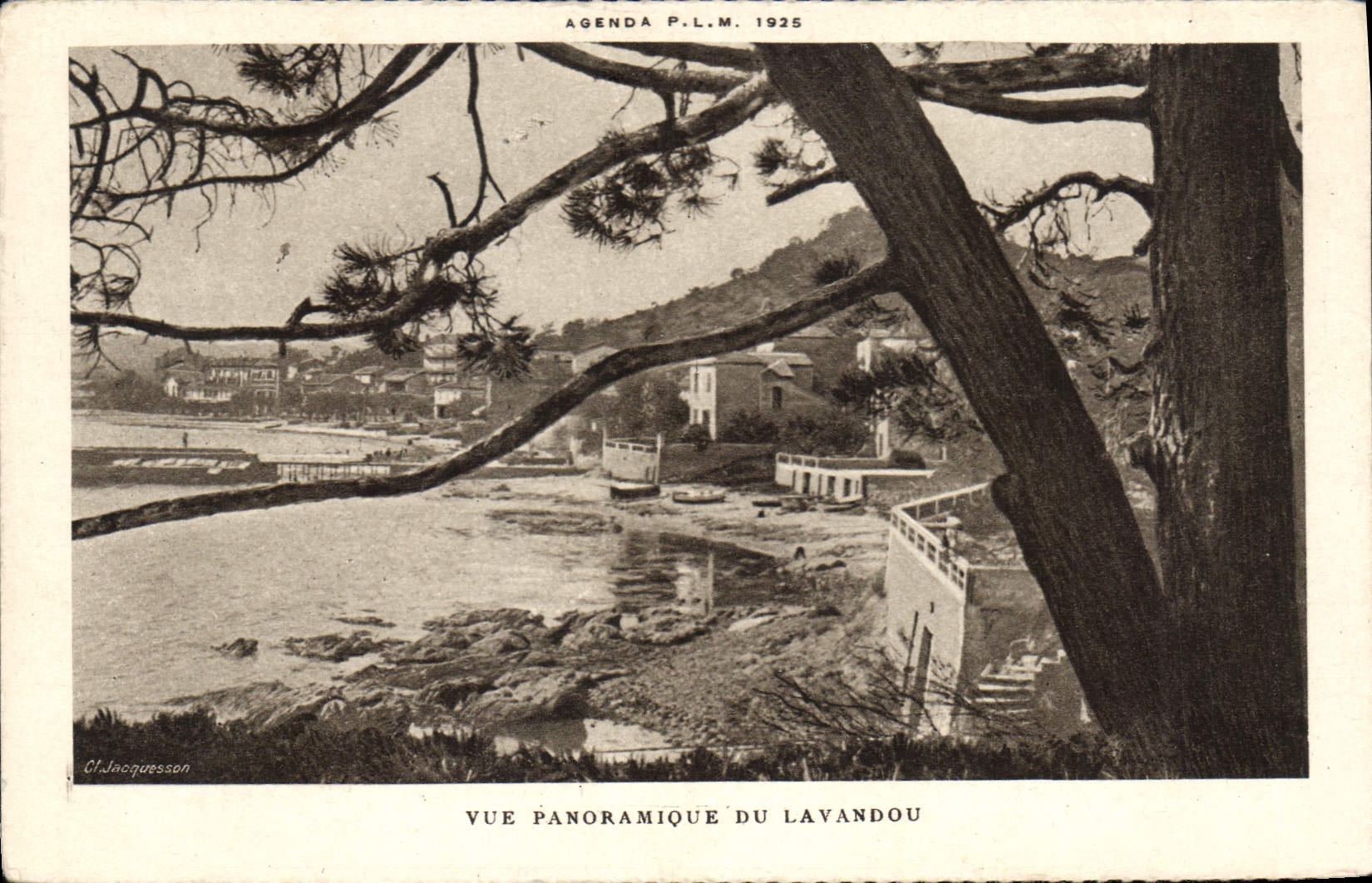 CPA Vue Panoramique du Lavandou 