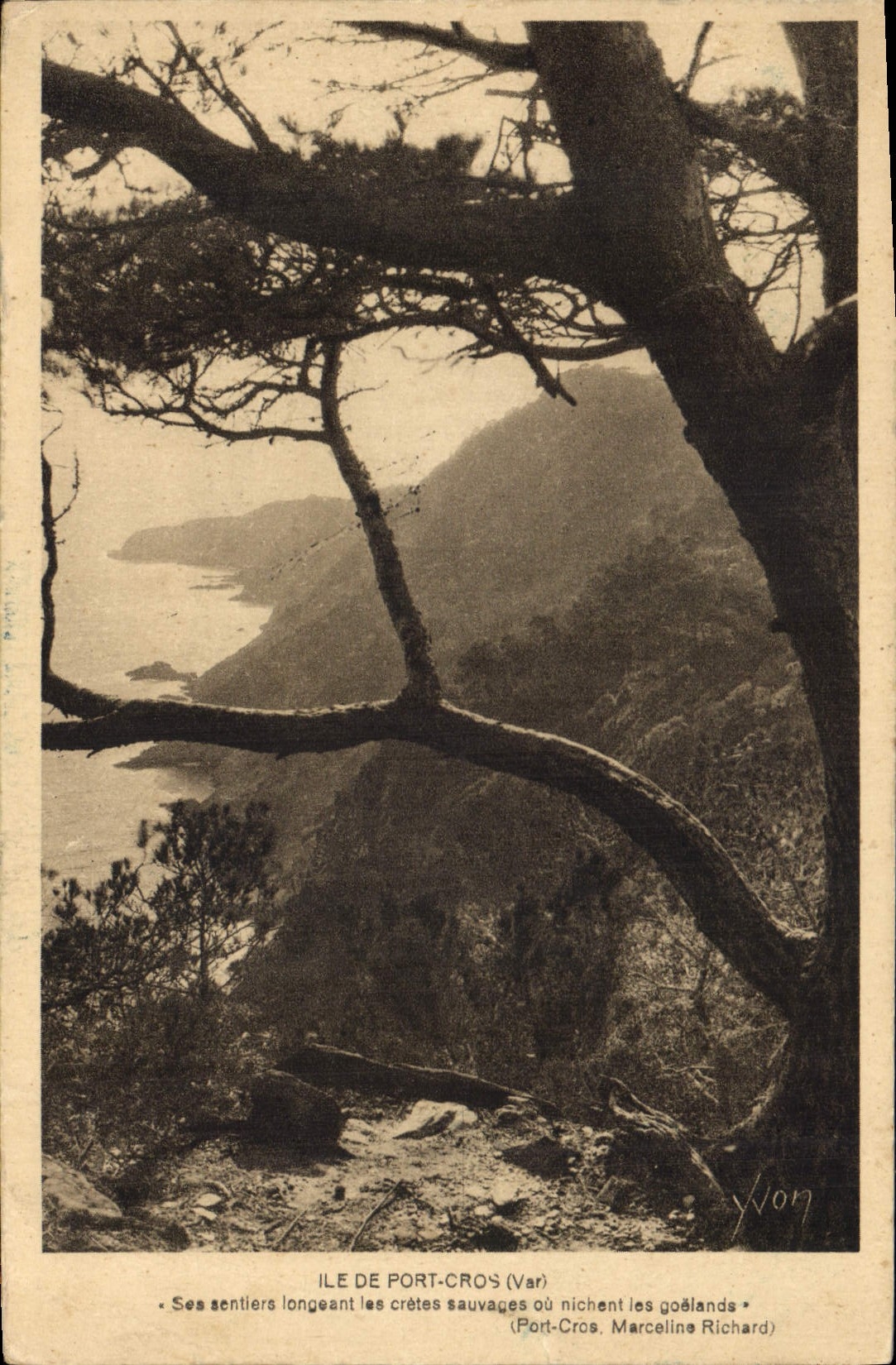 CPA Ile de Port Cros Var 