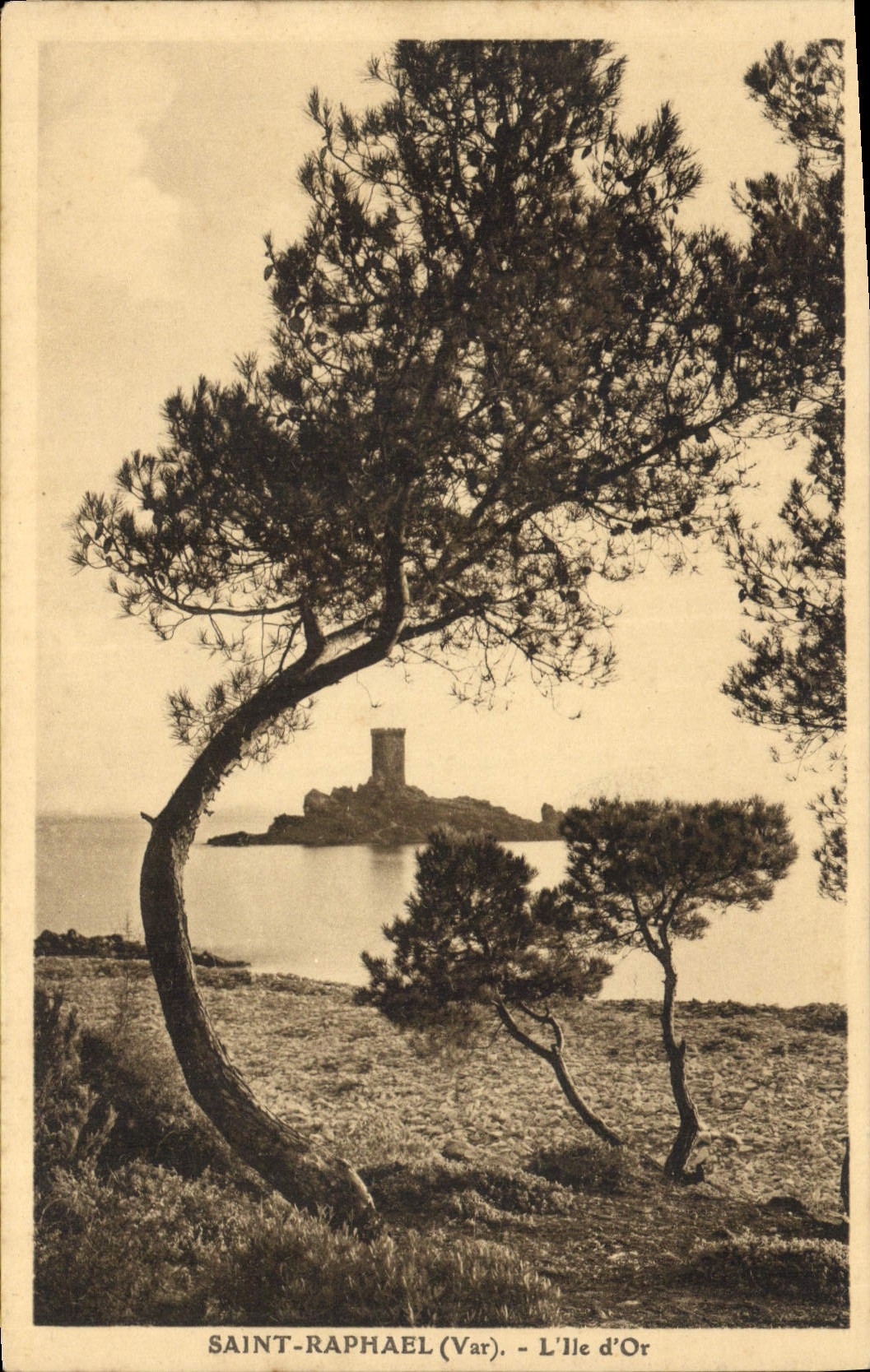 CPA Saint Raphael Var l'Ile d'Or 