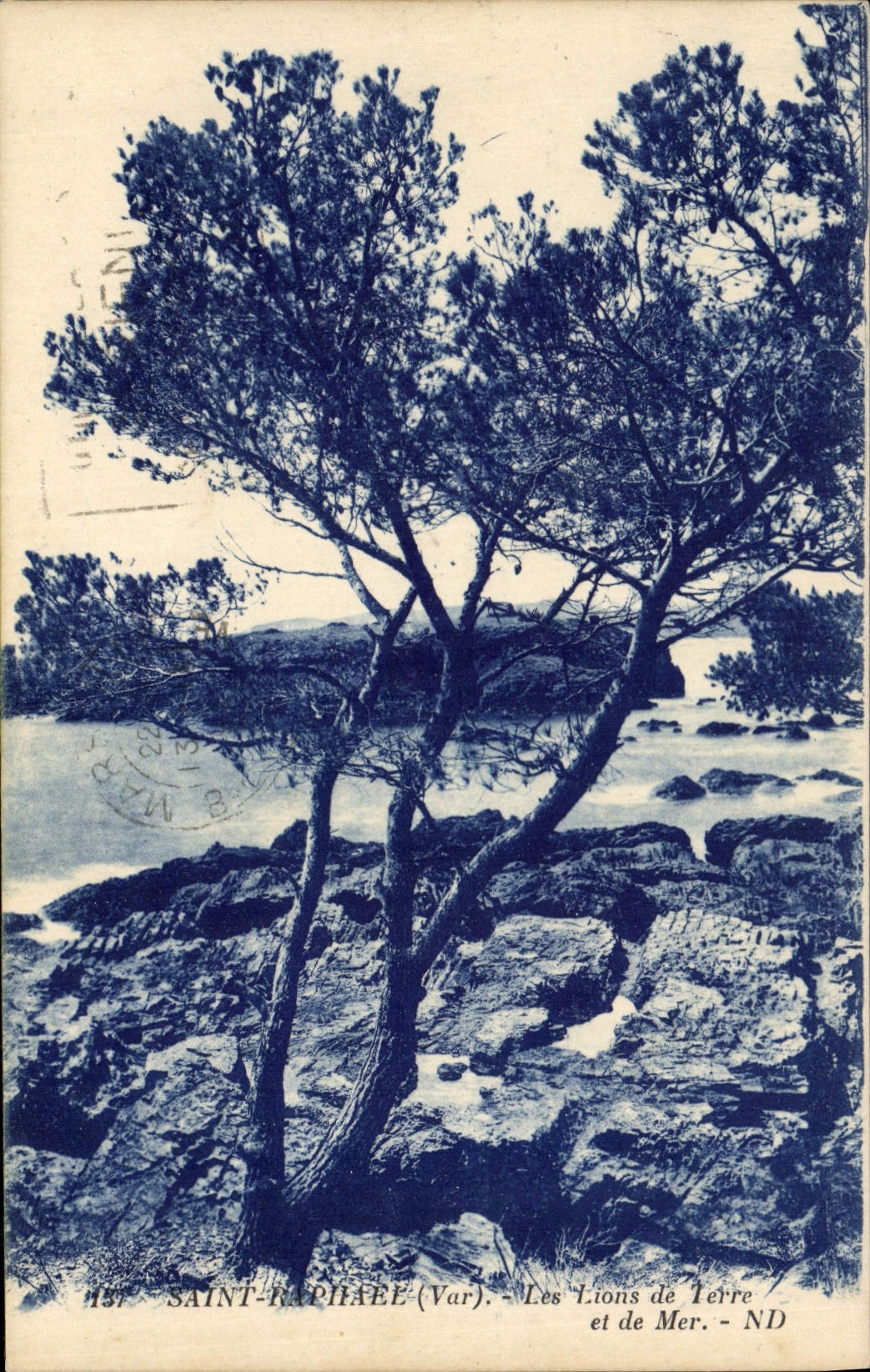 CPA Saint Raphael Var les Lions de Terre et de Mer