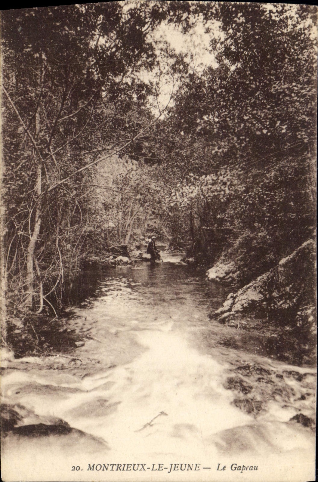 CPA Montrieux le Jeune le Gapeau