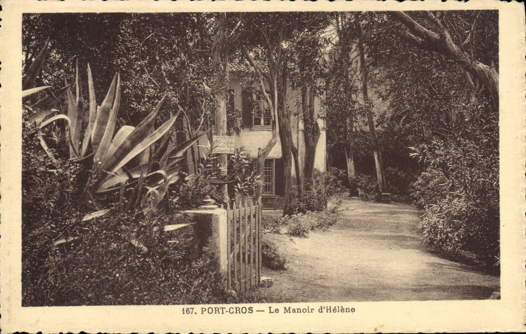 CPA Port Cros la Manoir d'Helene