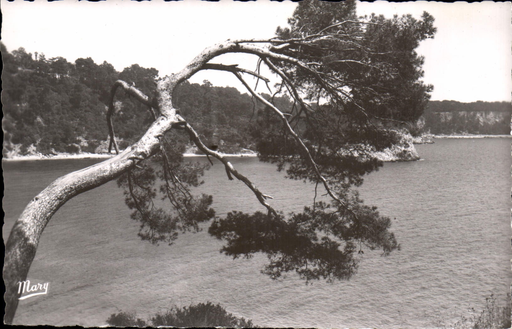 CPA Toulon Baie de Port Mejean 