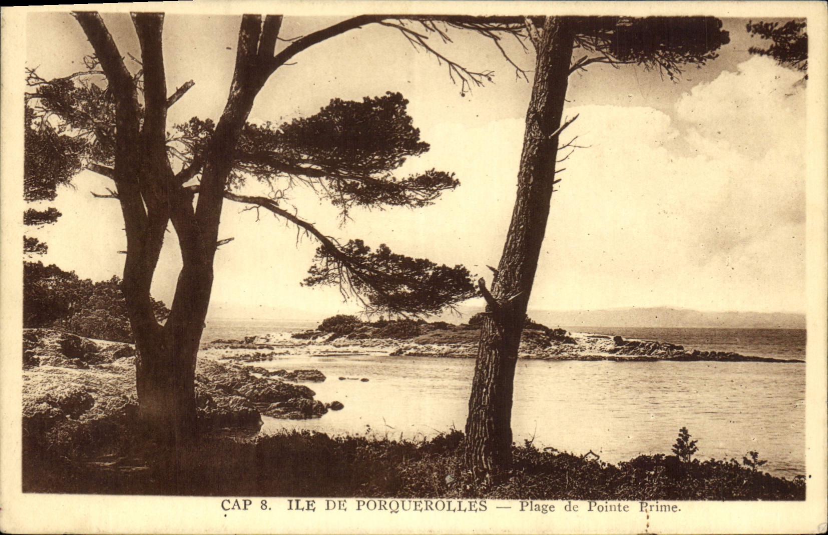 CPA Ile de Porquerolles plage de Pointe Prime
