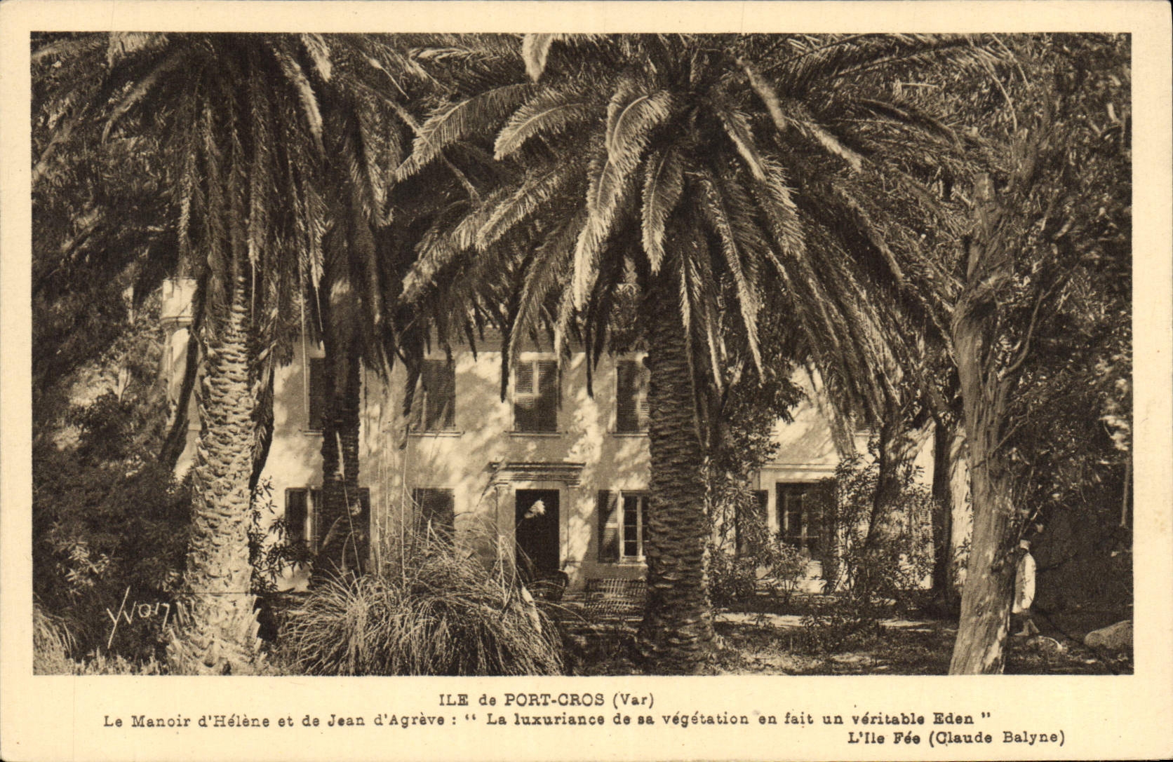 CPA Ile de Port Cros Var le Manoir d'Helene et de Jean d'Agreve la luxuriance de sa vegetation en fa