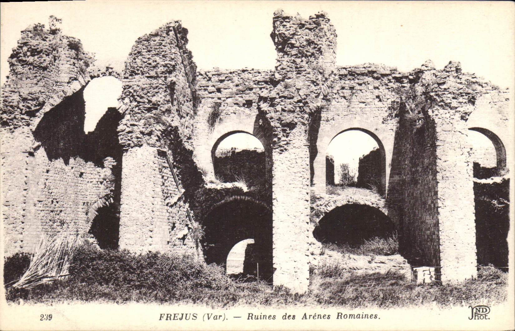 CPA Frejus Var Ruines des Arenes Romaines