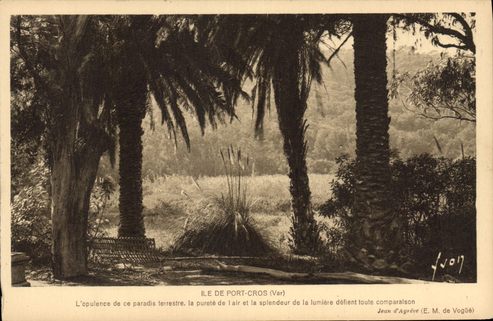 CPA Ile de Port Cros Var l'apulence de ce paradis terrestre la pufete de l'air et de la aplendeut de