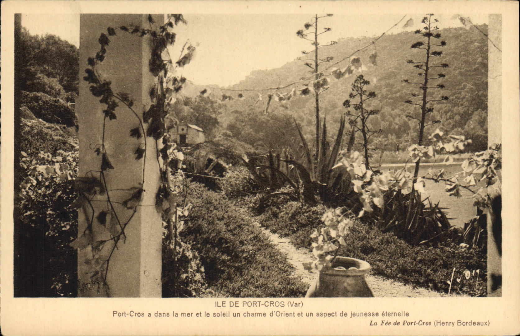 CPA Ile de Port Cros Var Port Cros a dans la mer et le Soleil un Charme d'Orient et un aspect de jeu