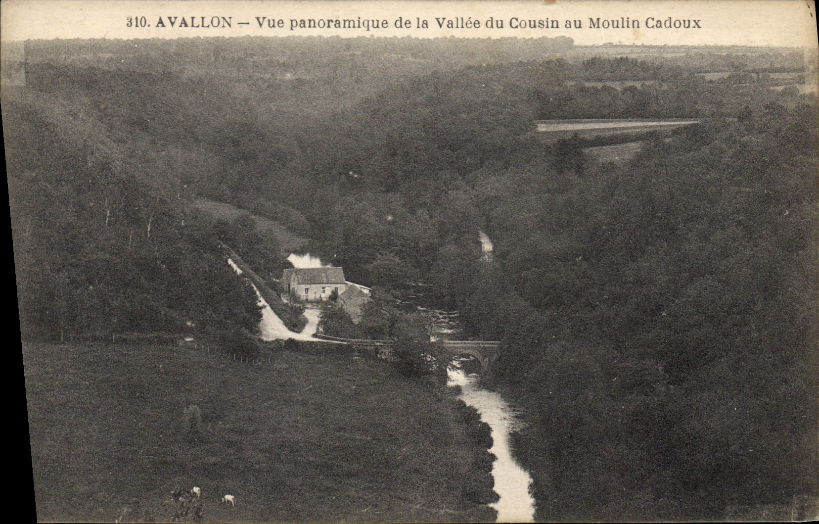 CPA Avallon Vue panoramique de la Vallee du Cousin au Moulin Cadoux 