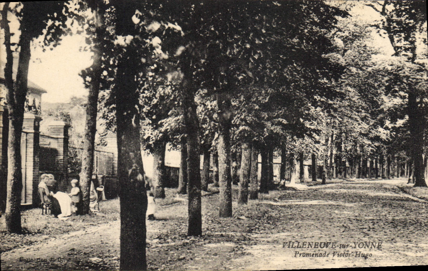 CPA Villeneuve sur Yonne Promenade Victor Hugo 