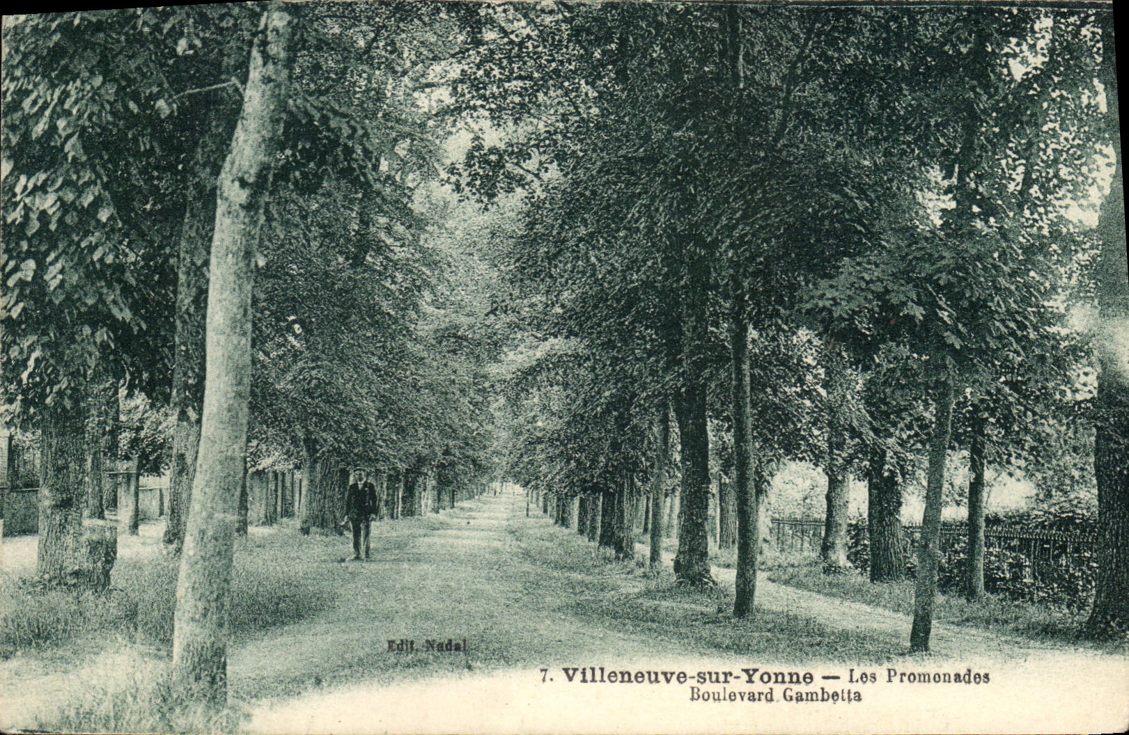 CPA Villeneuve sur Yonne Les Promenades Boulevard Gambetta
