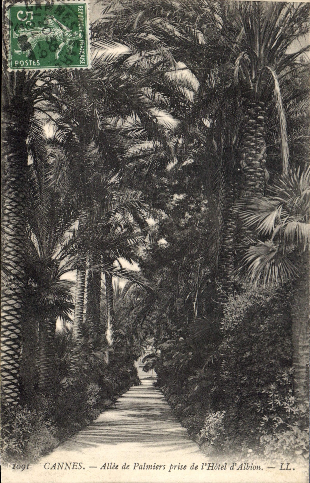 CPA Cannes Allee de Palmiers prise de l'Hotel d'Albion 