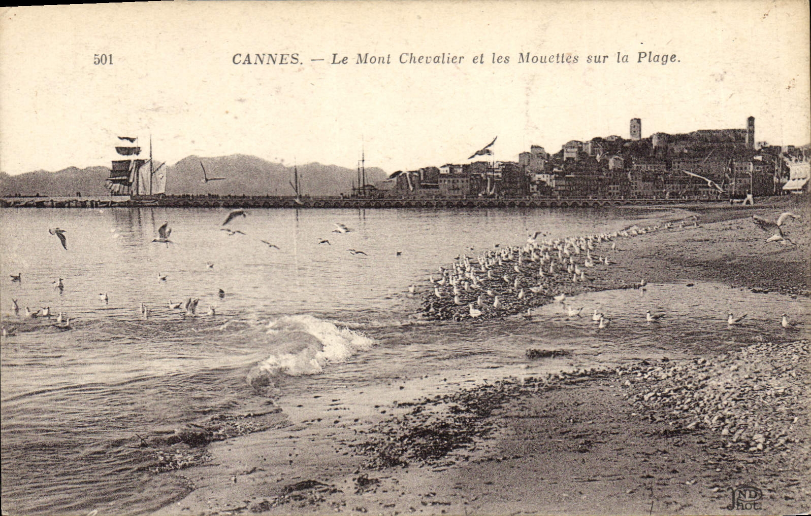 CPA Cannes Le Mont Chevalier et les Mouettes sur la Plage 