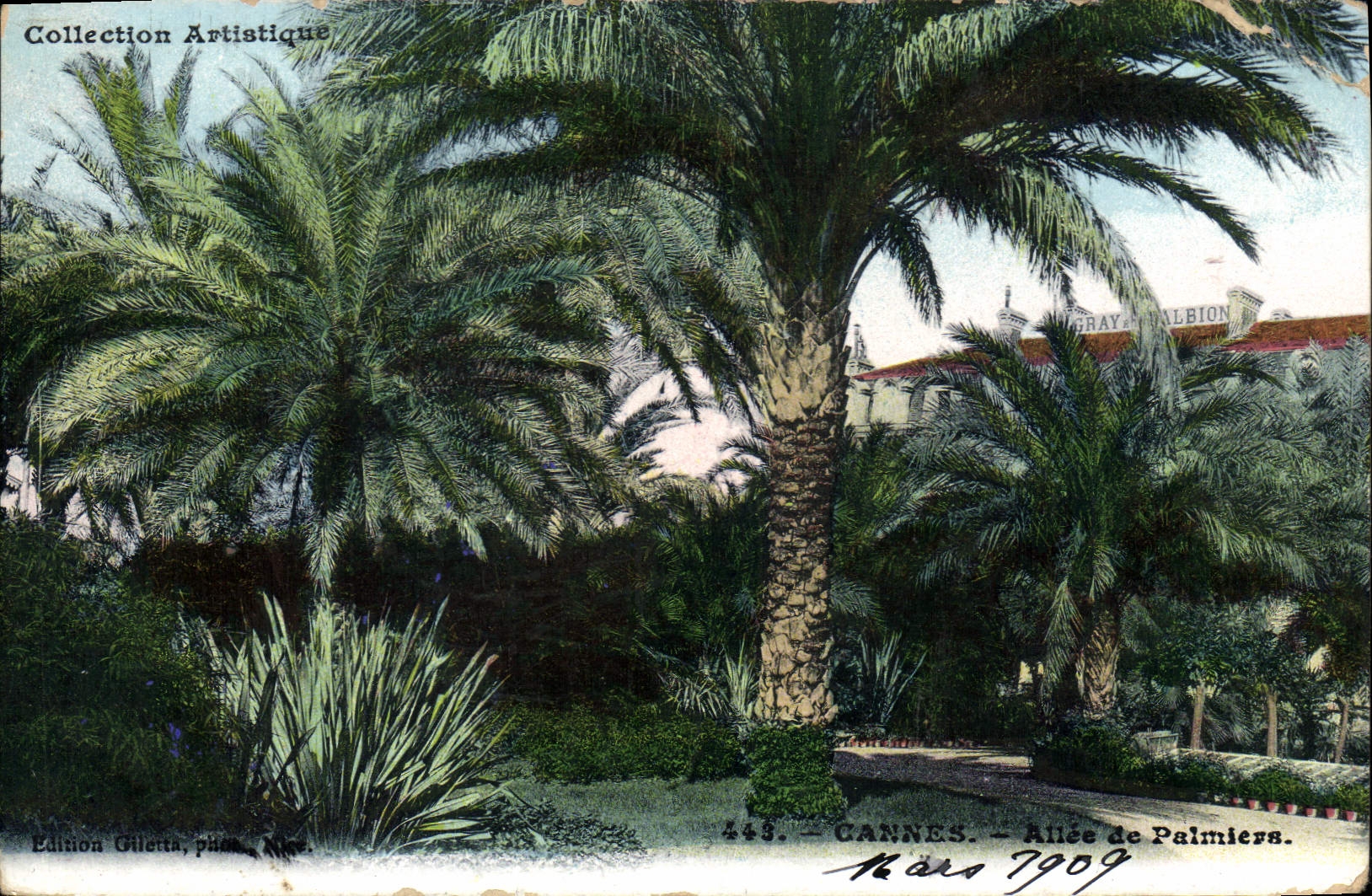CPA Cannes Allee de Palmiers 