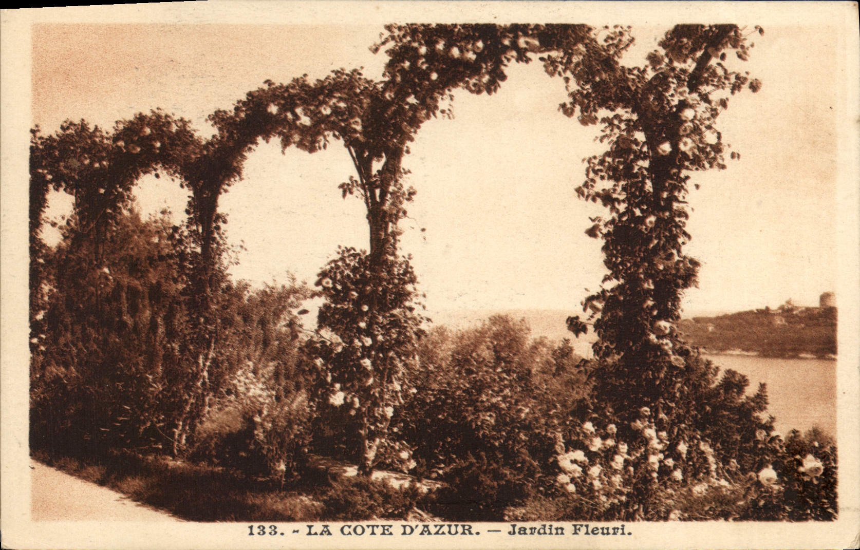 CPA La Cote d'Azur Jardin Fleuri