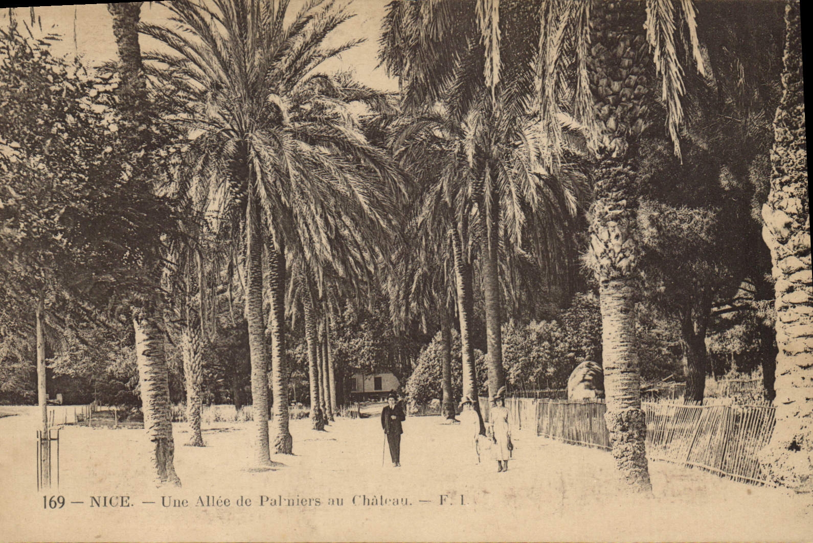CPA Nice Une Allee de Palmiers au Chateau 