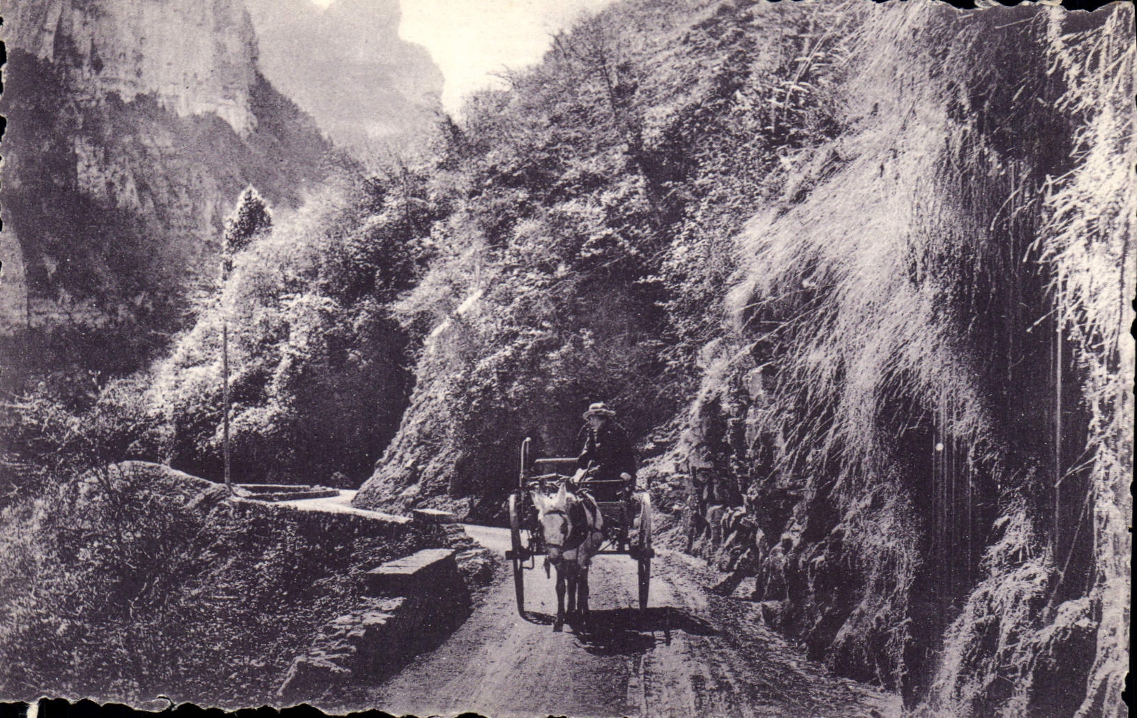 CPA Route des Alpes Gorges superieures du Cians Caleche Cheval