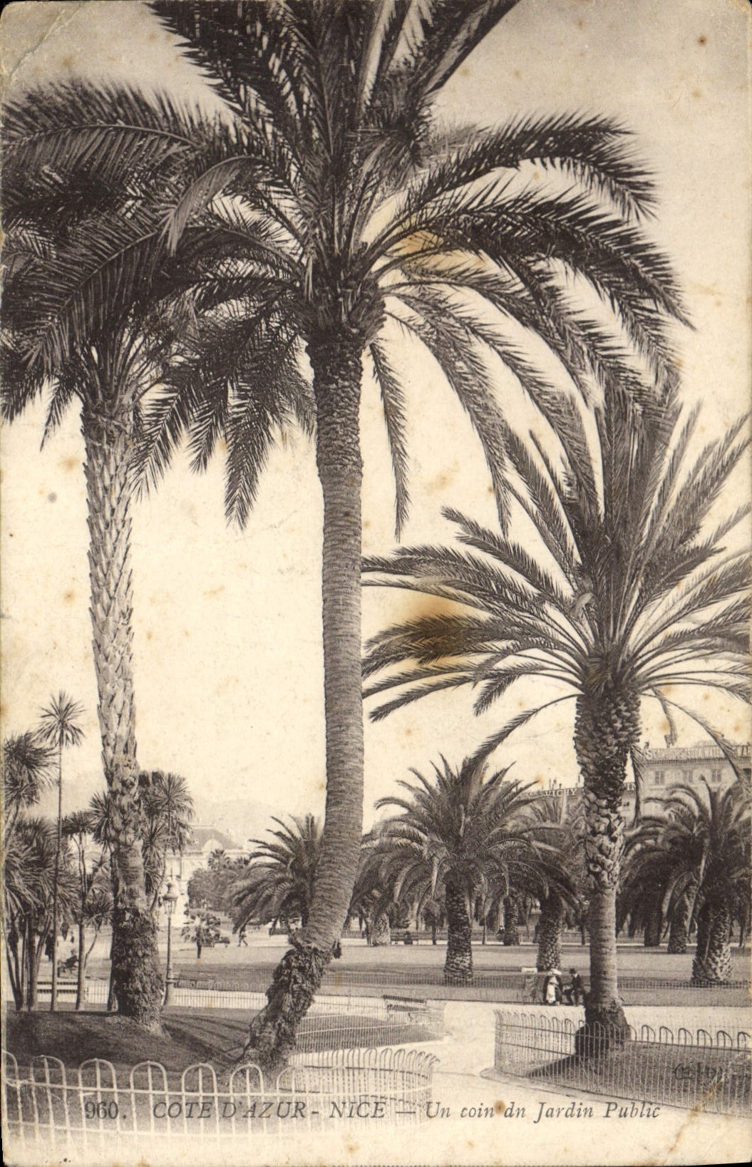CPA Cote d'Azur Nice Un coin du Jardin Public