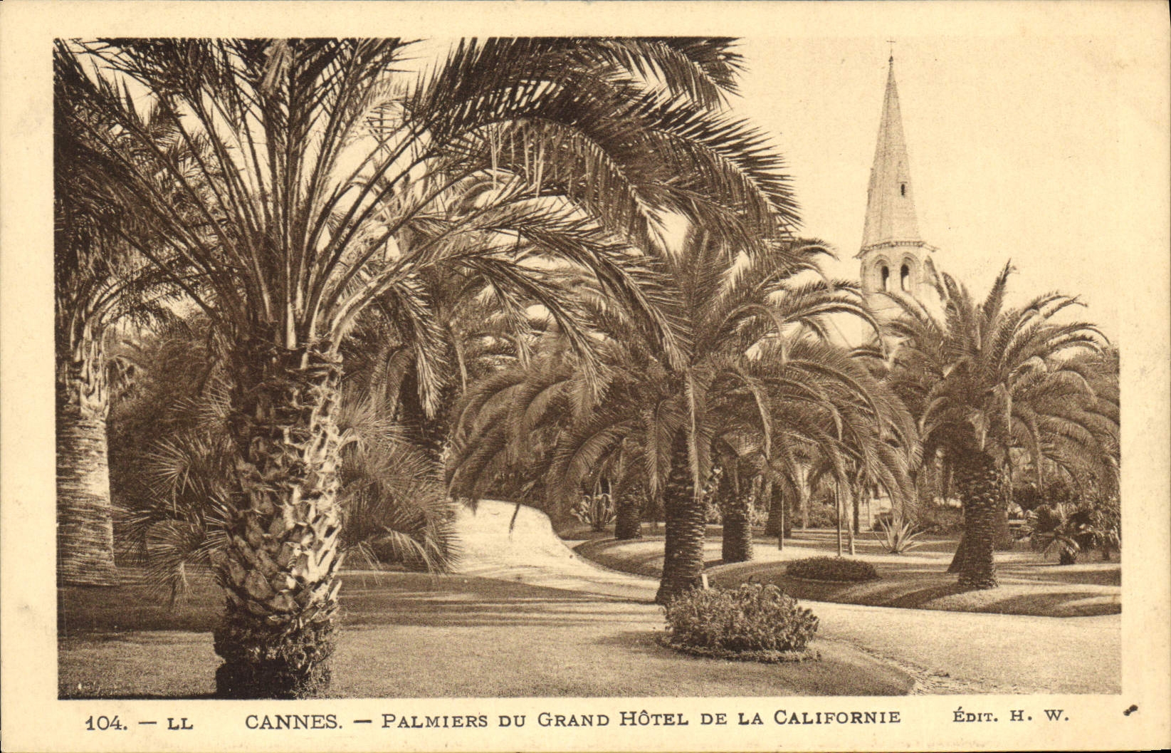 CPA Cannes Palmiers du Grand Hotel de la Californie