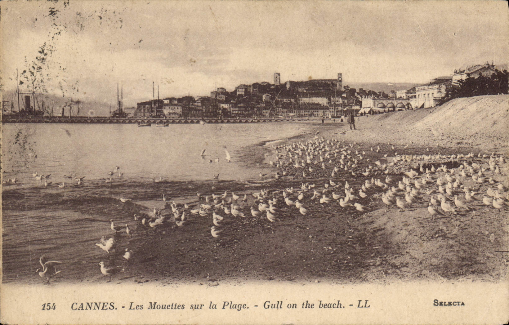 CPA Cannes Les Mouettes sur la Plage 