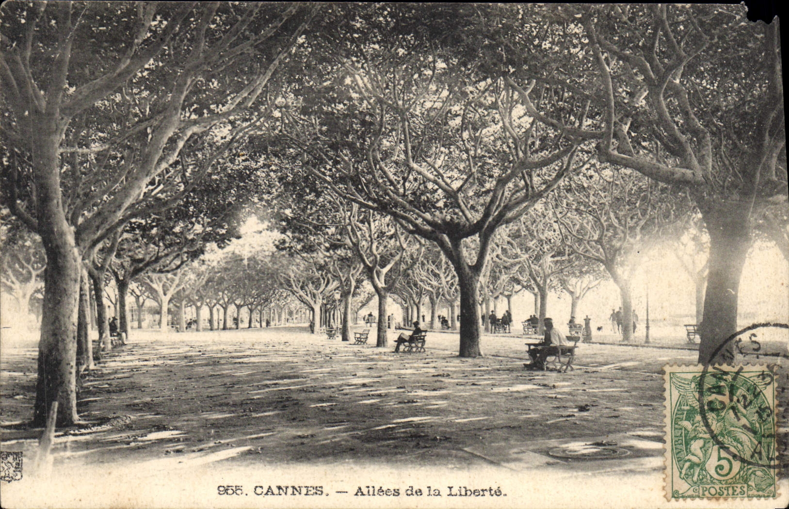 CPA Cannes Allees de la Liberte 