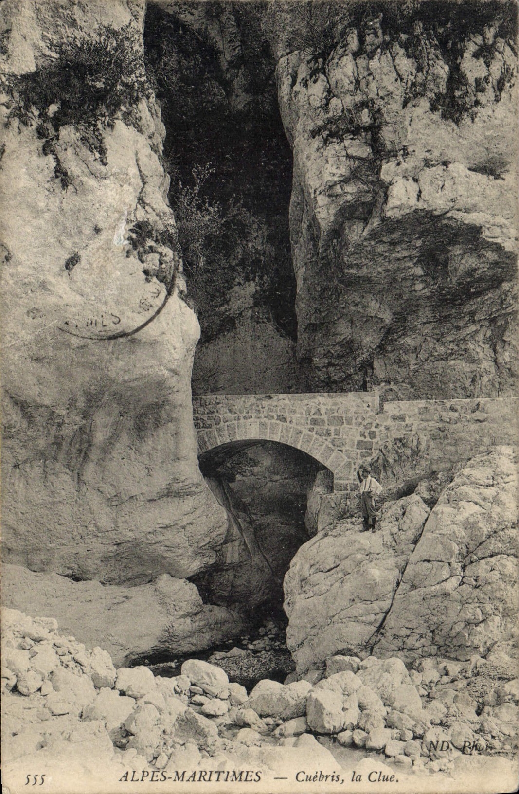 CPA Alpes Maritimes Cuebris la Clue