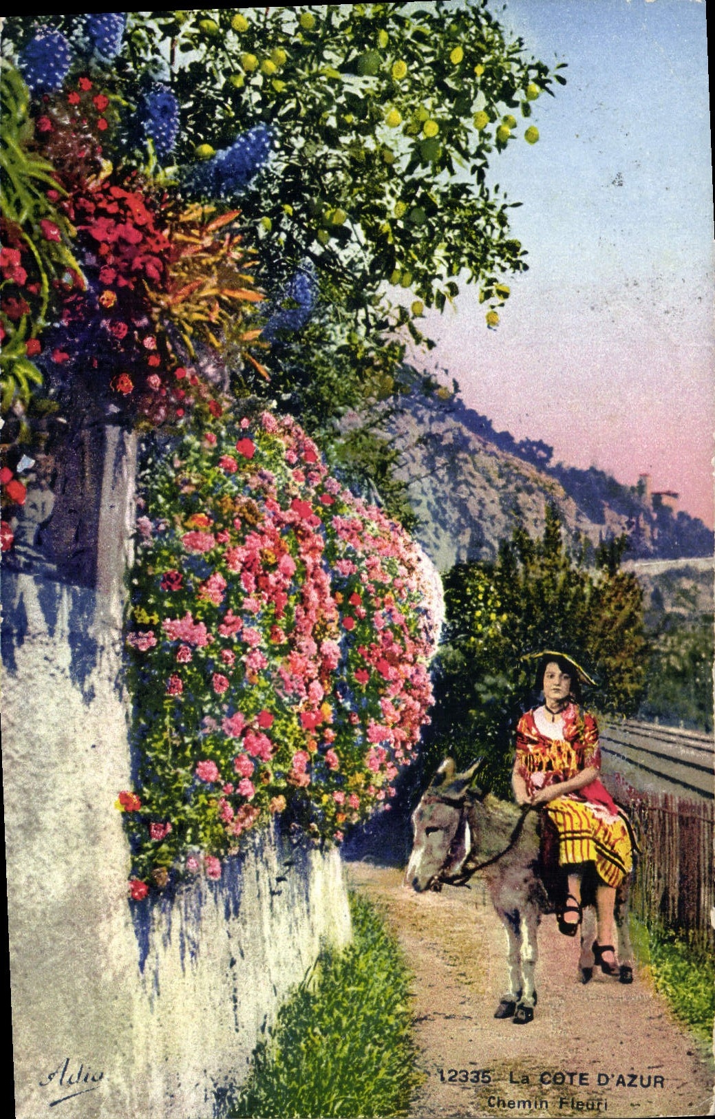 CPA La Cote d'Azur Chemin Fleuri Ane Mule