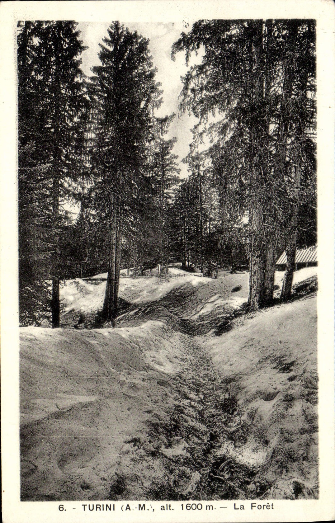 CPA Turini A M La Foreit 