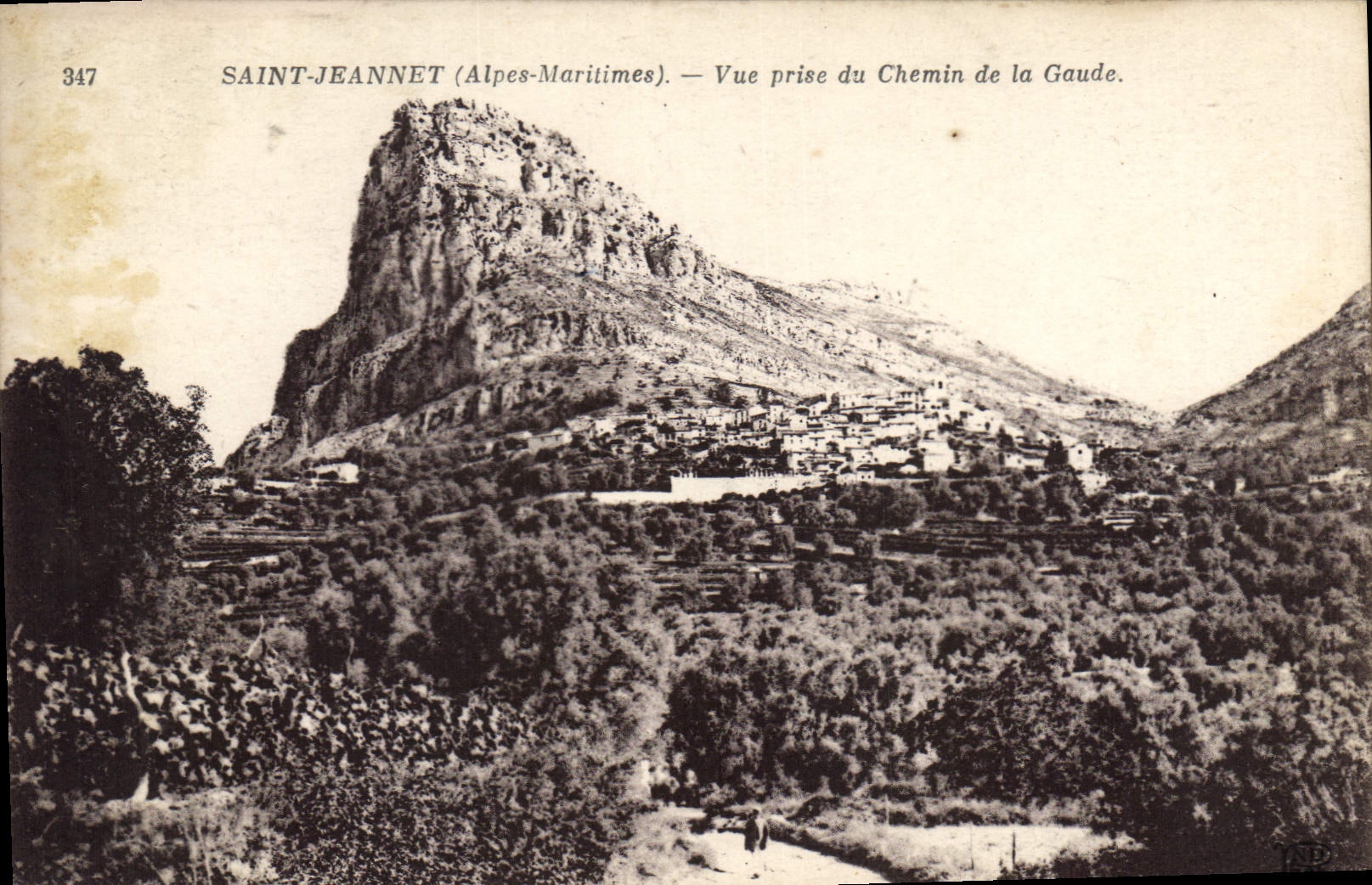 CPA Saint Jeannet Alpes Maritimes Vue prise du Chemin de la Gaude 