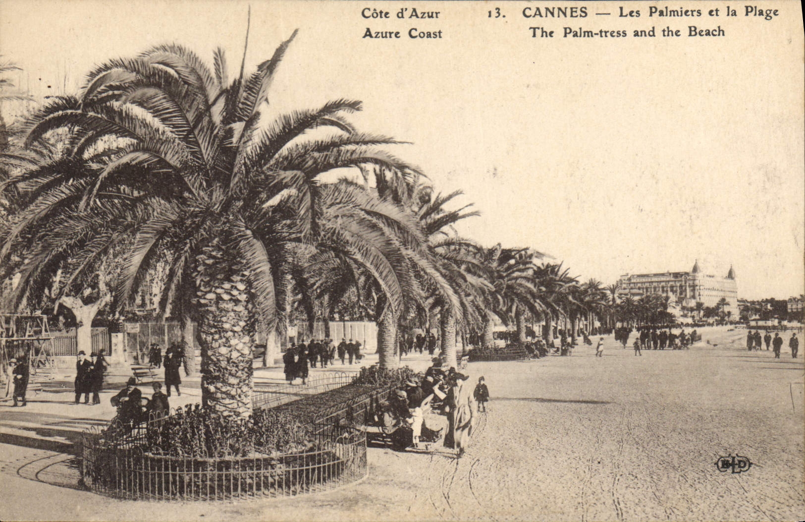 CPA Cote d'Azur Cannes Les Palmiers et la Plage 