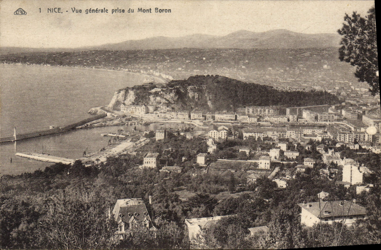 CPA Nice Vue generale prise du Mont Boron 