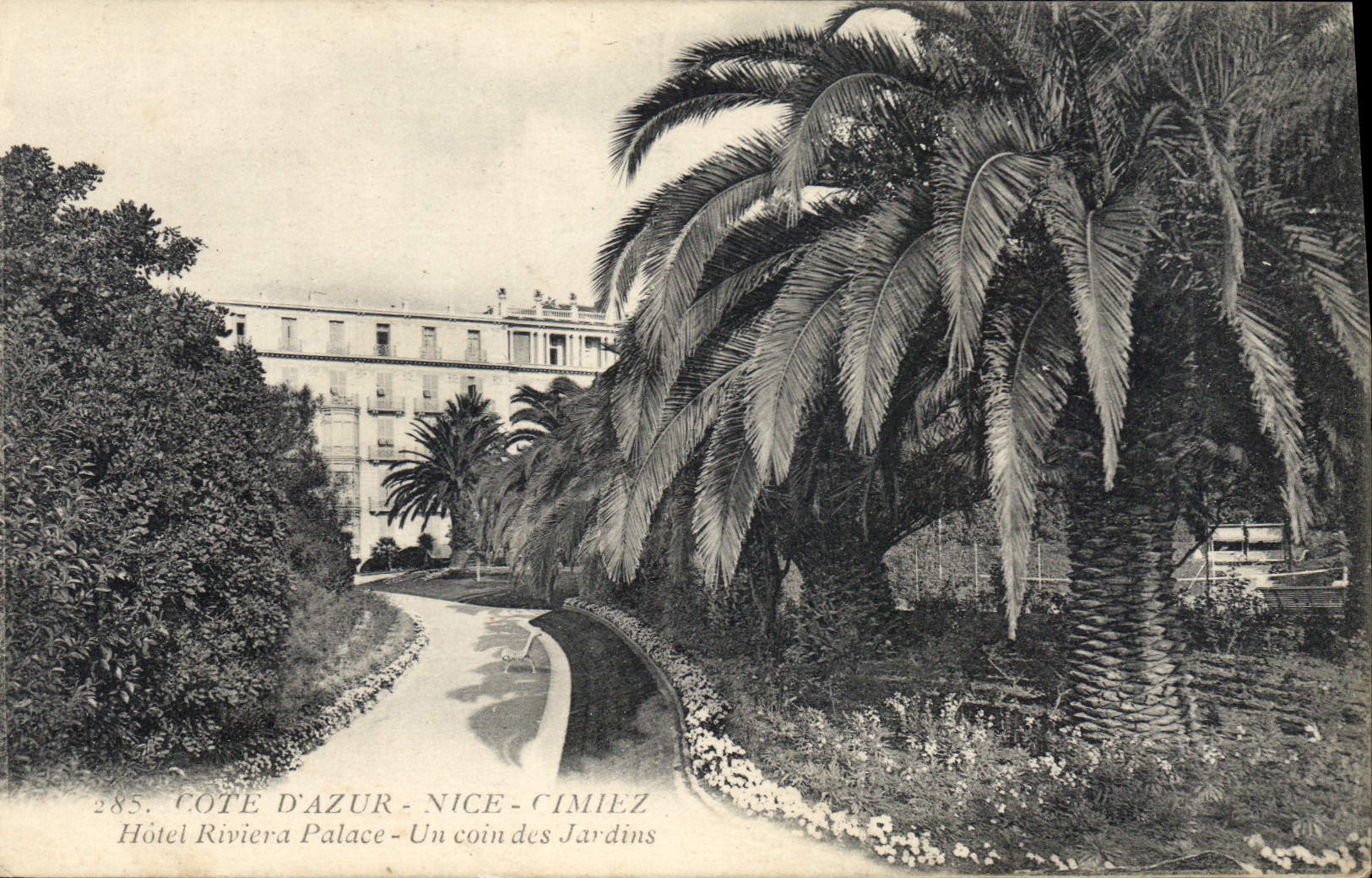 CPA Cote d'Azur Nice Cimiez Hotel Riviera Palace Un coin des Jardins