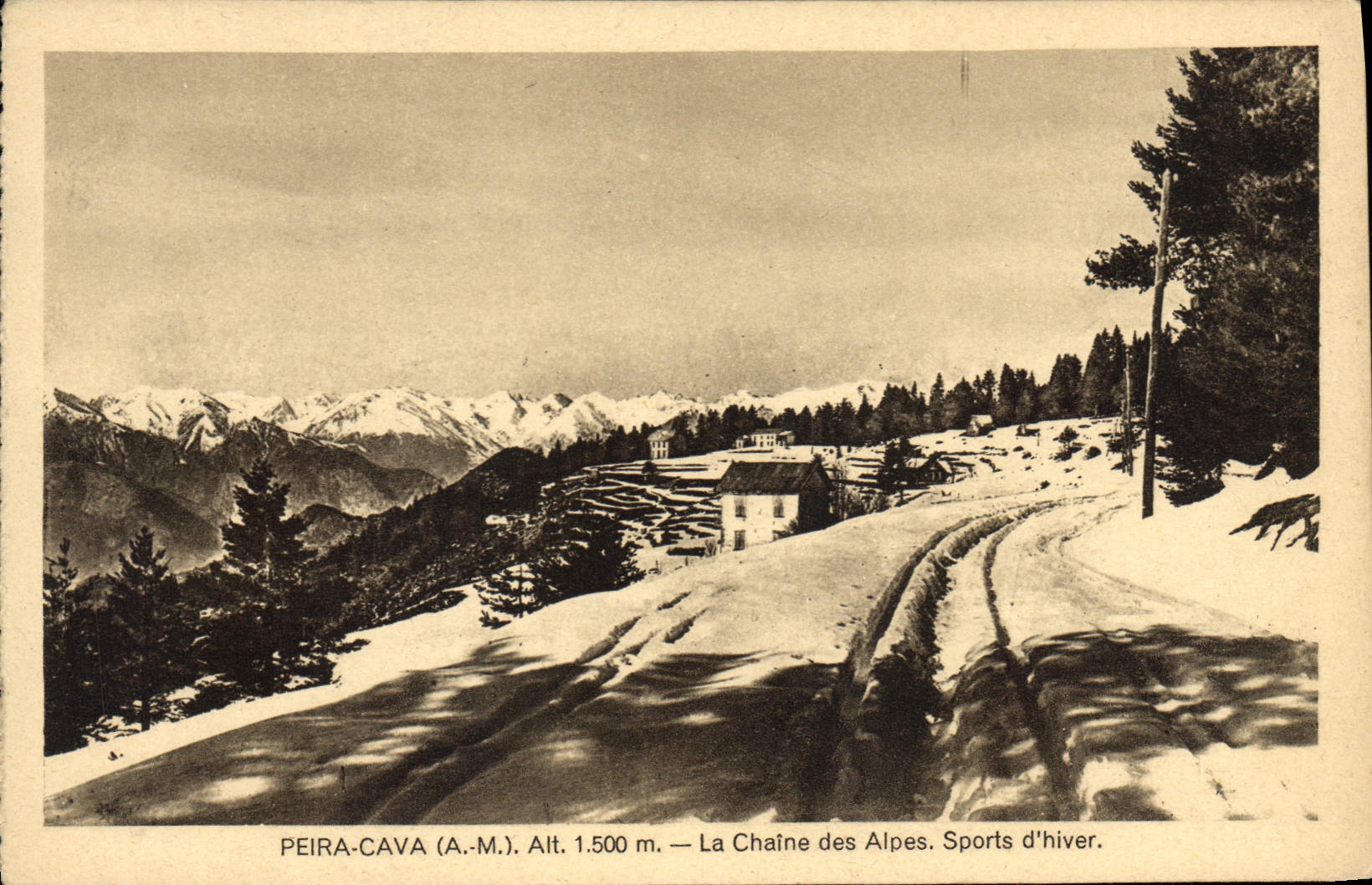 CPA Peira Cava A M La Chaine des Alpes Sports d'hiver 