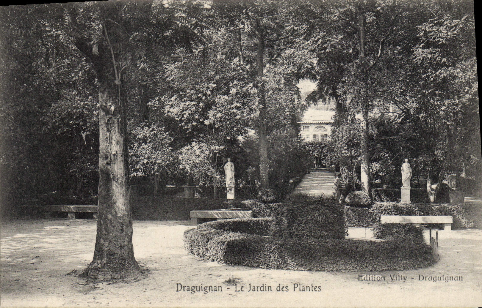 CPA Draguignan Le Jardin des Plantes