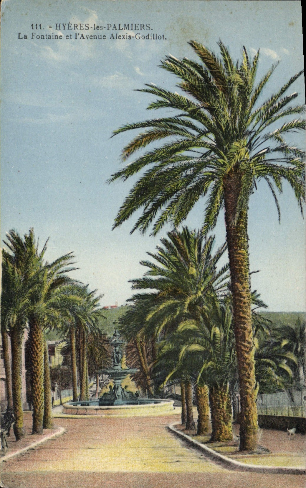 CPA Hyeres les Palmiers La Fontaine et l'Avenue Alexia Godillot 