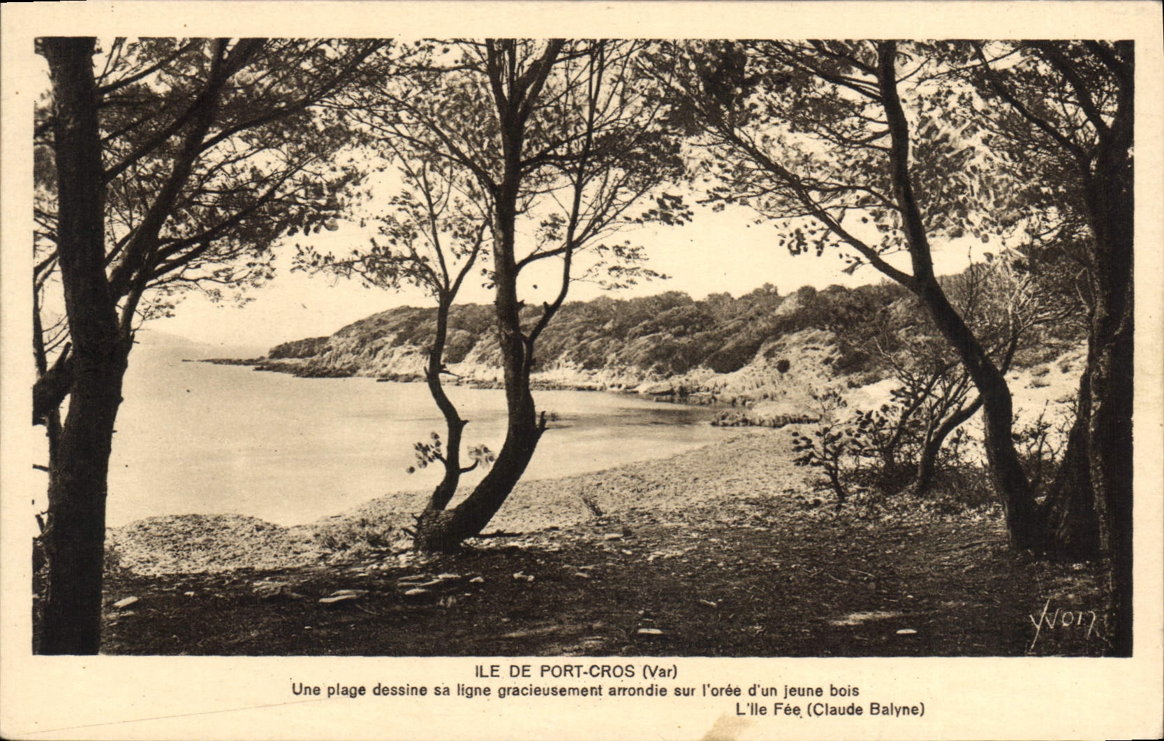 CPA Ile de Port Cros Var Une plage dessine sa ligne gracieusement arrondie sur l'oree d'un jeune boi