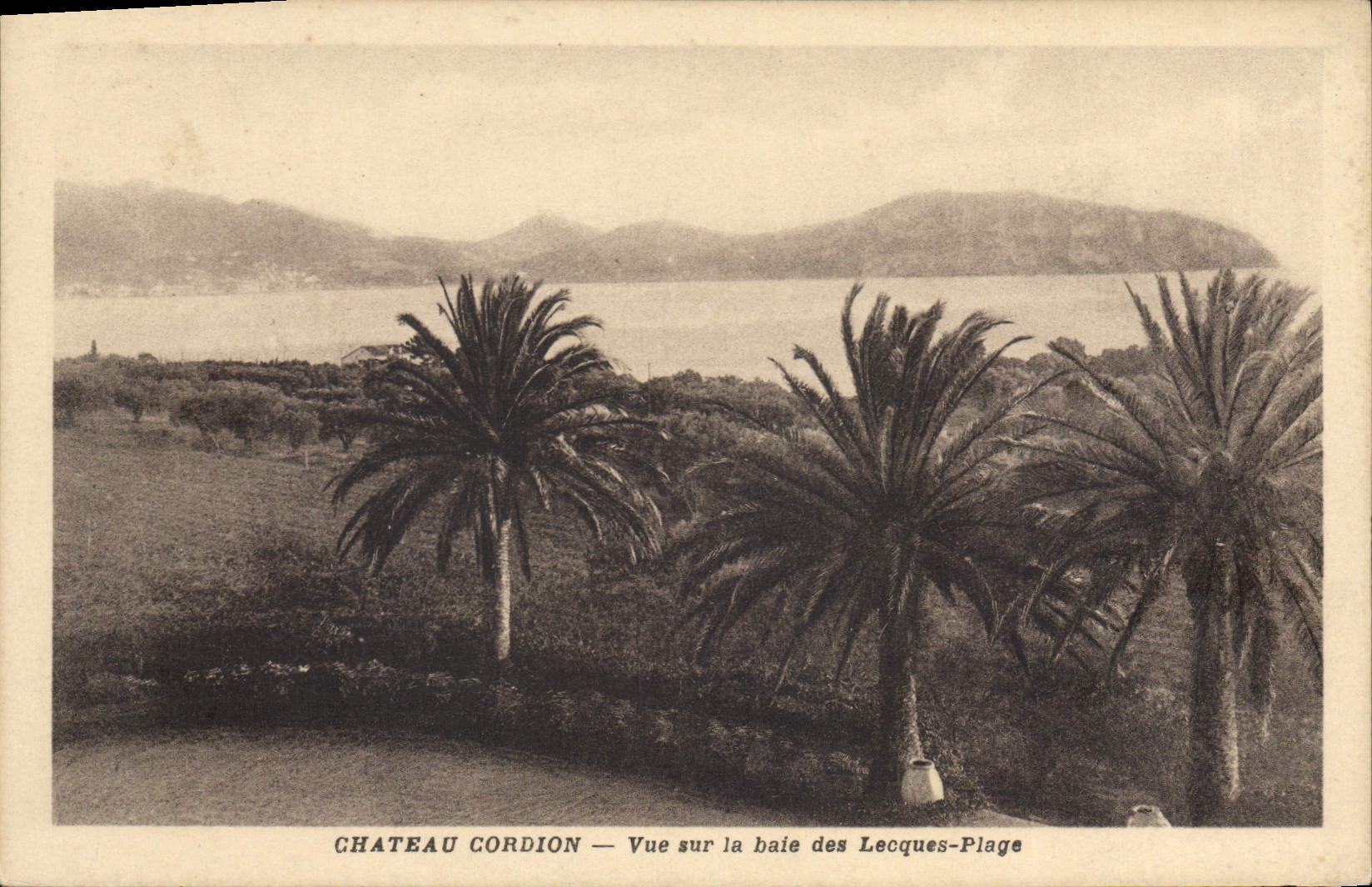 CPA Chateau Cordion Vue sur la baie des Leoques Plage