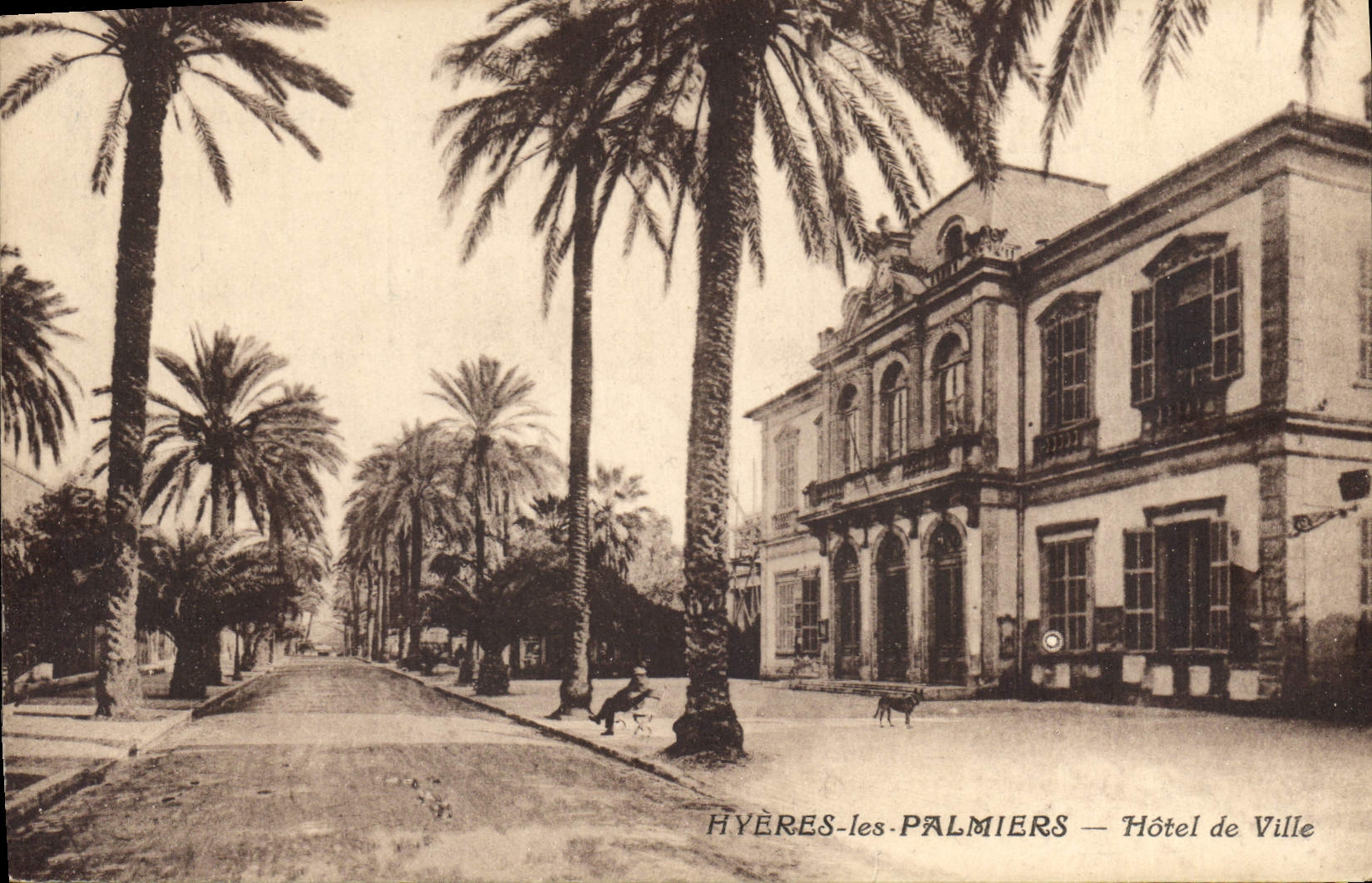 CPA Hyeres les Palmiers Hotel de Ville 