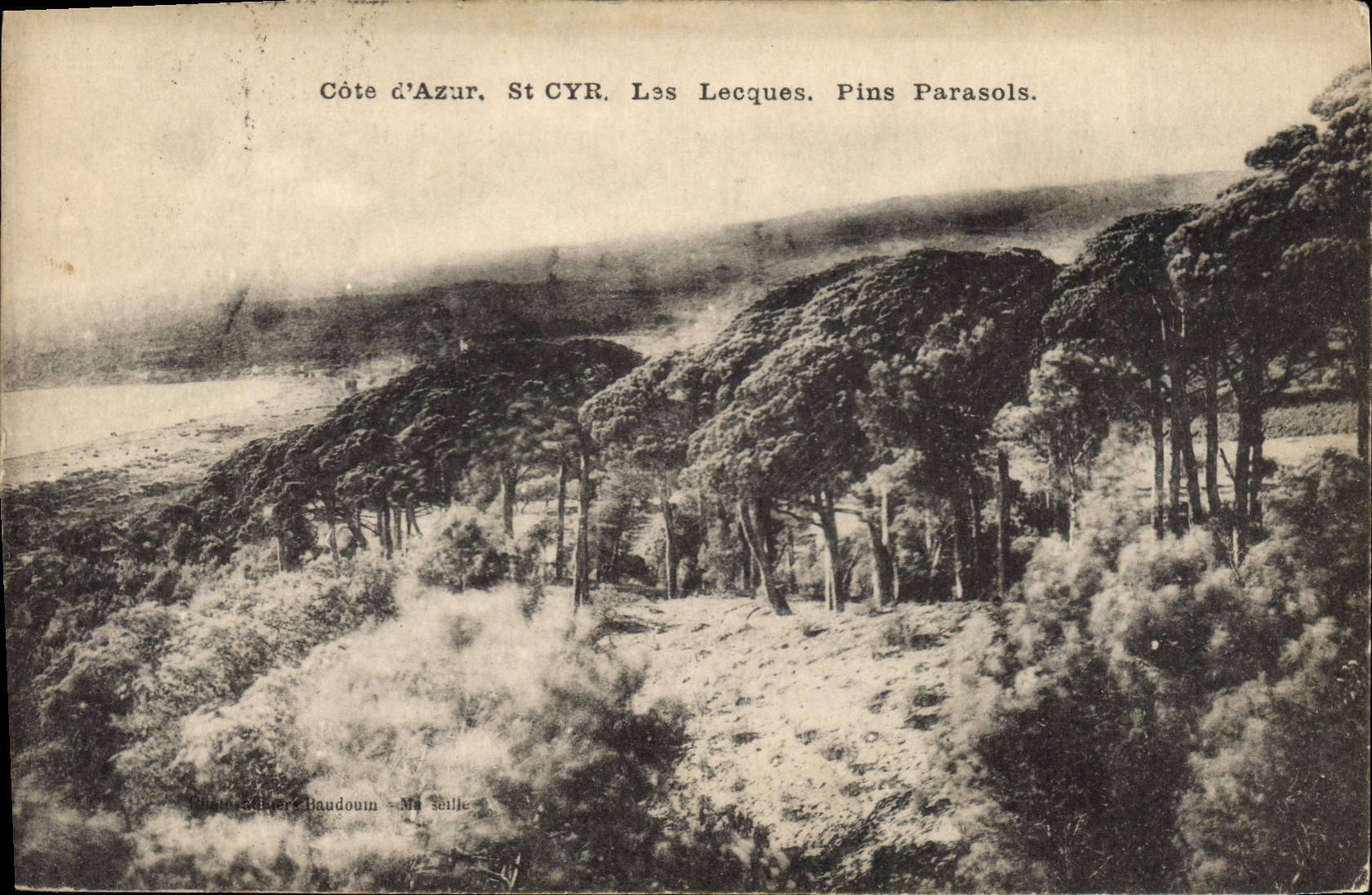 CPA Cote d'Azur St Cyr Les Leques Pins Parasols